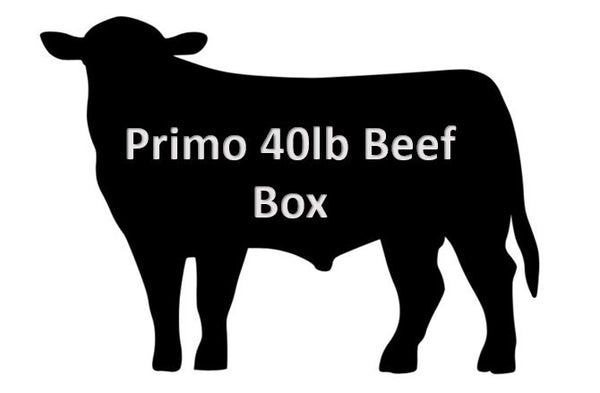 Primo 40
